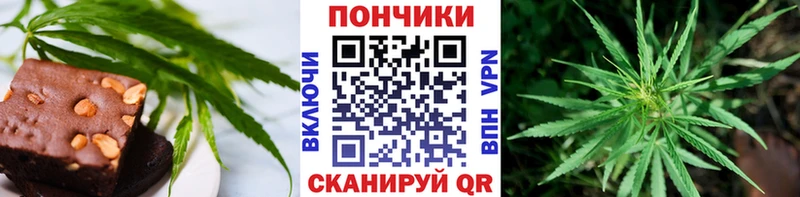 Canna-Cookies марихуана Суровикино