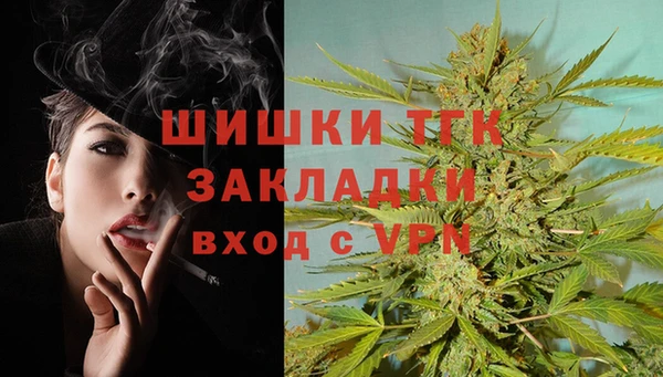 ешки Арсеньев